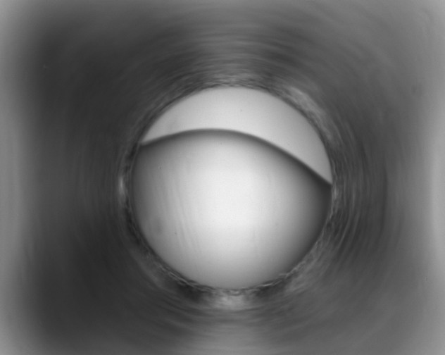 X0000089390405200706150935