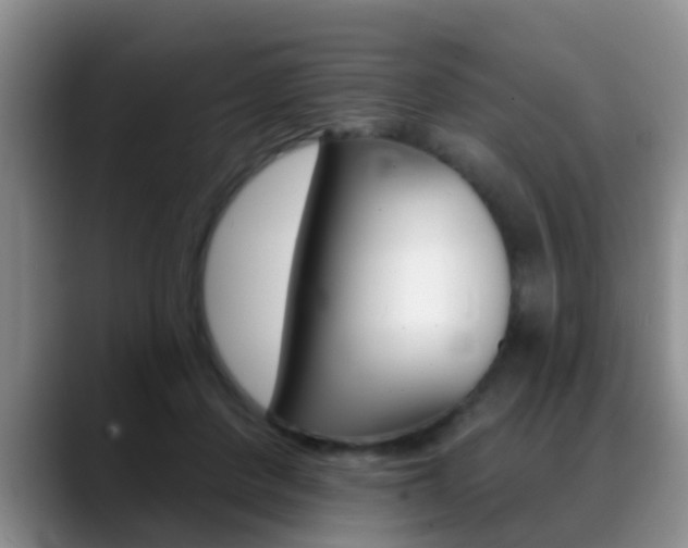X0000089390408200706150935