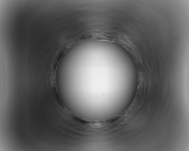 X0000089390419200706150935