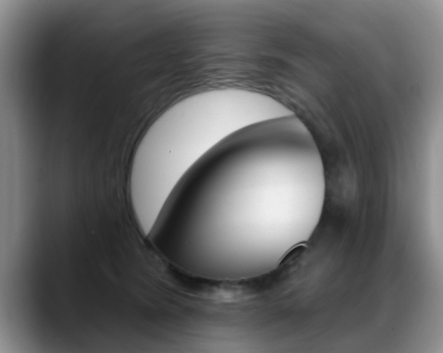 X0000089390420200706150935