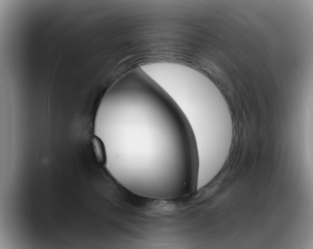 X0000089390421200706150935