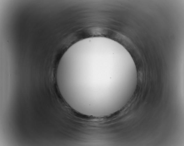 X0000089390422200706150935