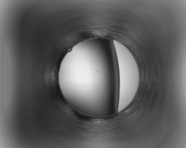 X0000089390424200706150935