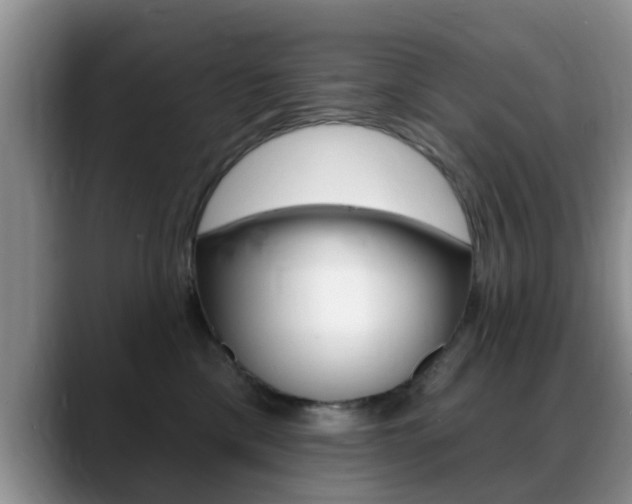 X0000089390425200706150935