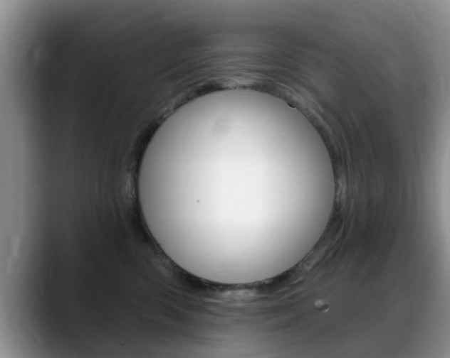 X0000089390426200706150935