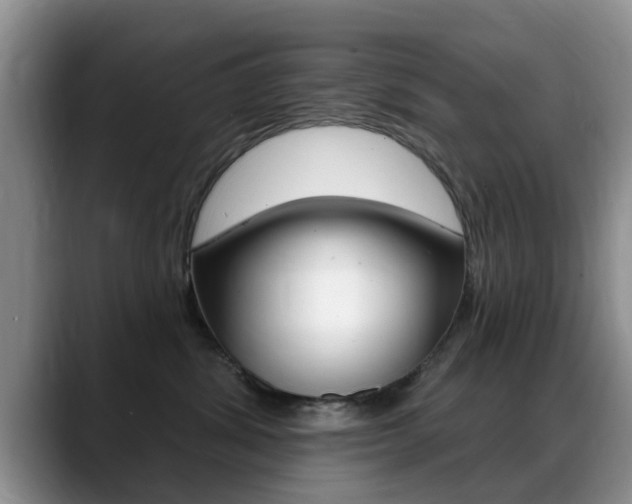 X0000089390428200706150935