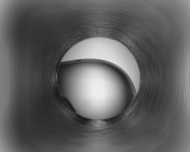 X0000089390429200706150935