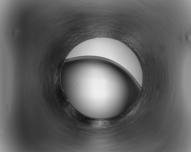 X0000089390432200706150935