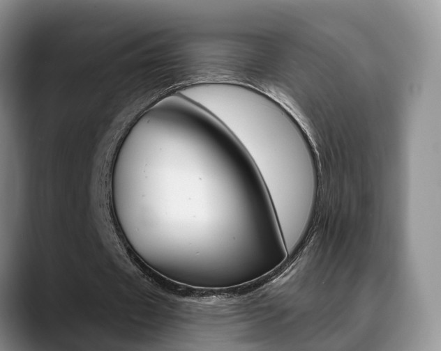 X0000089390433200706150934