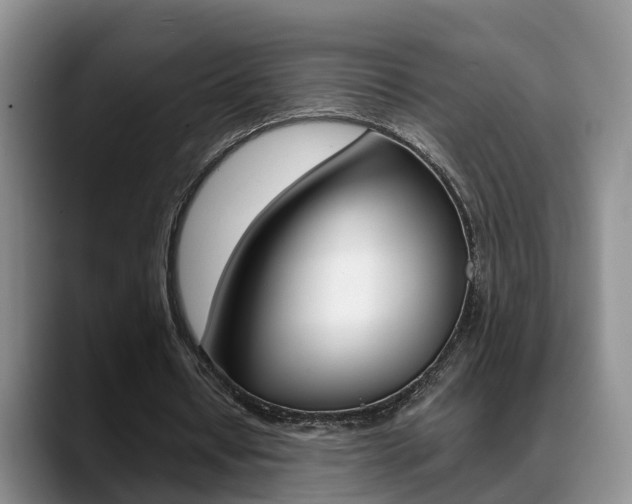 X0000089390434200706150934
