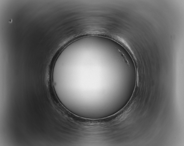 X0000089390435200706150934