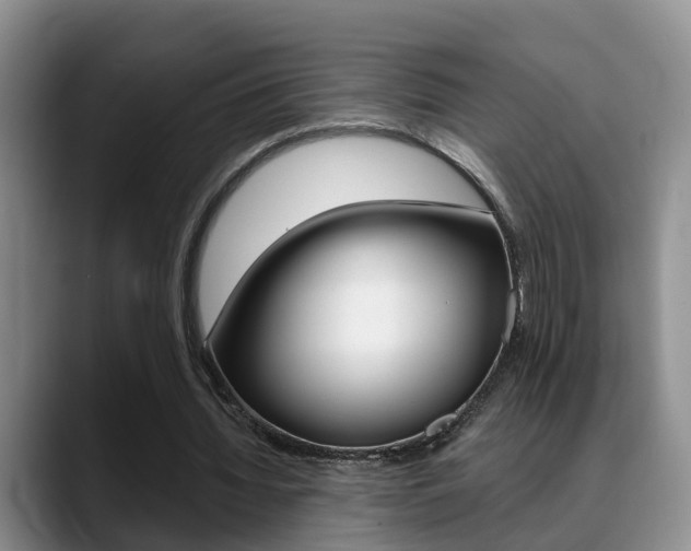 X0000089390436200706150934