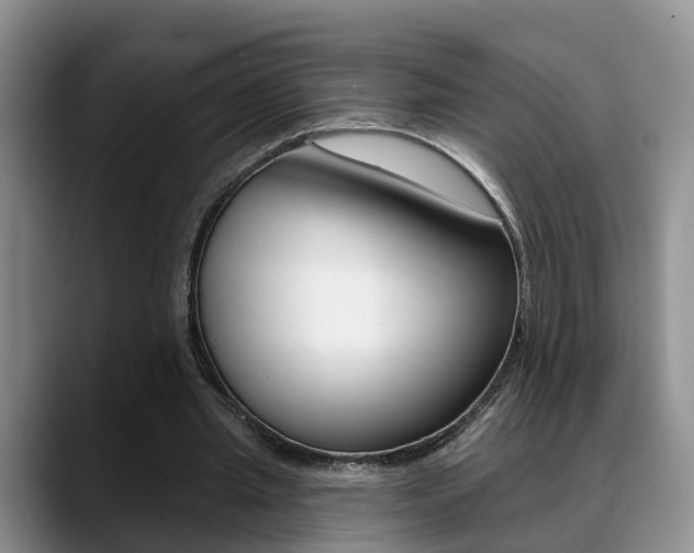 X0000089390437200706150934