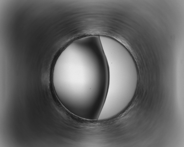 X0000089390438200706150934