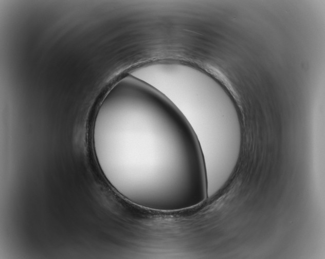 X0000089390439200706150934