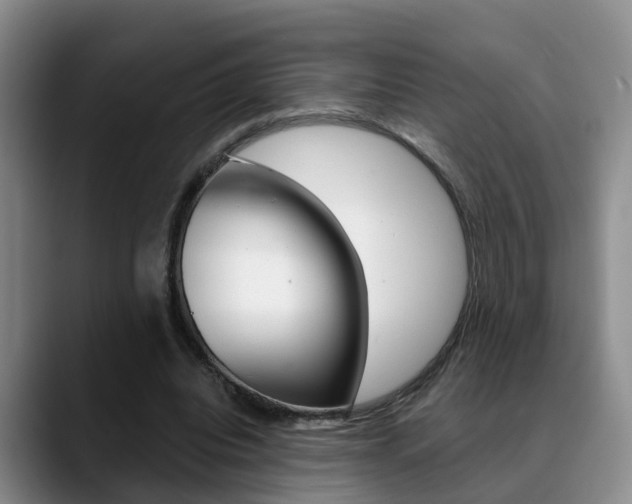 X0000089390440200706150934