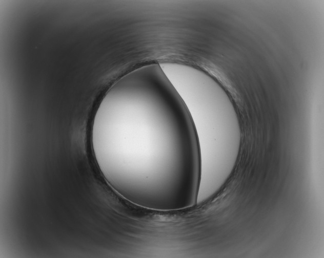 X0000089390442200706150934