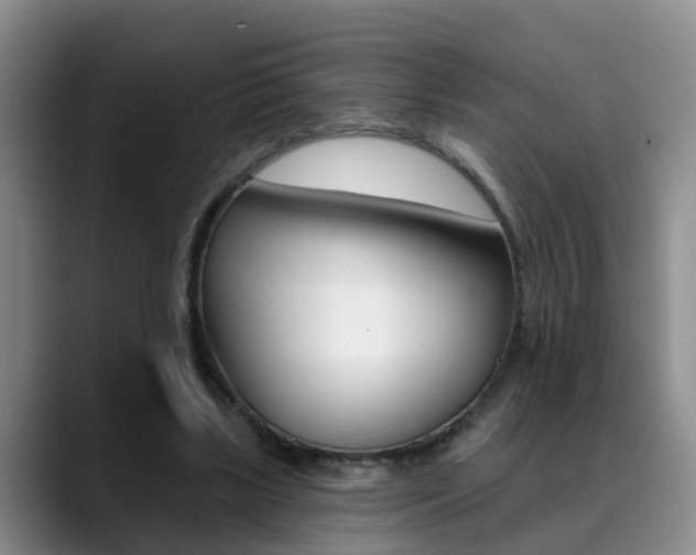 X0000089390443200706150934