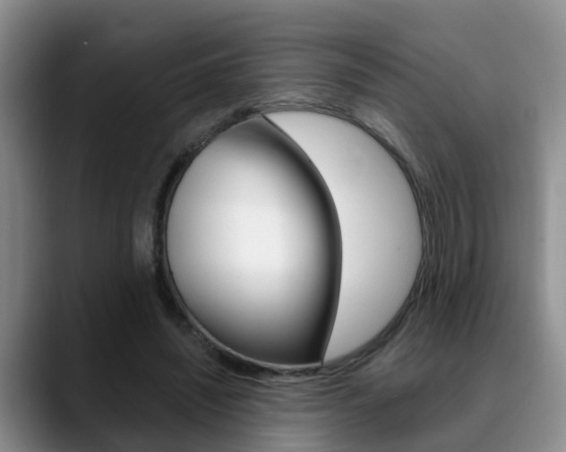 X0000089390444200706150934