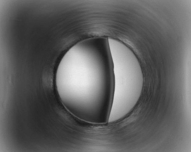 X0000089390446200706150934