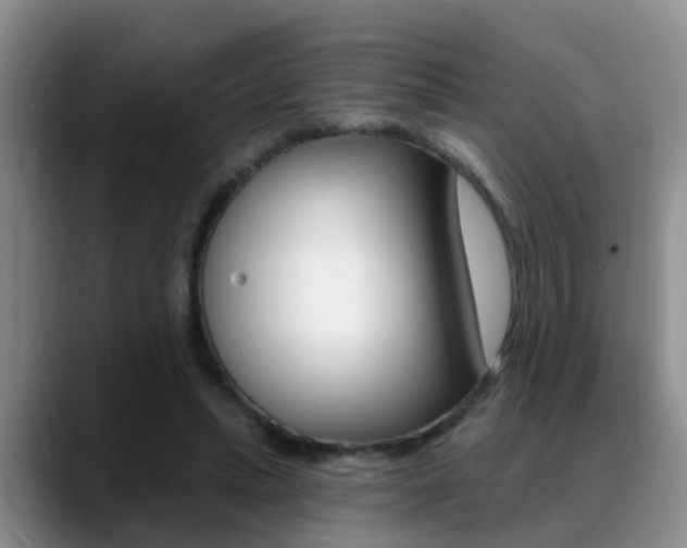 X0000089390447200706150934