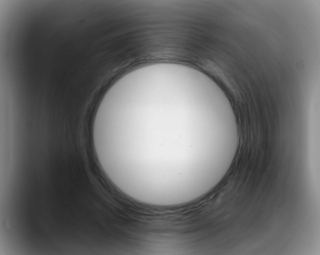 X0000089390448200706150934