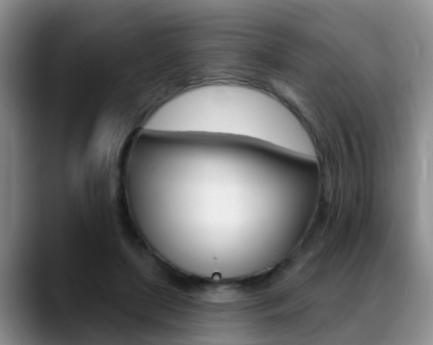 X0000089390451200706150934