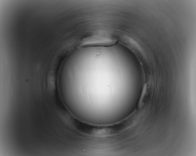 X0000089390452200706150934
