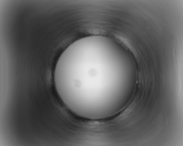 X0000089390453200706150934