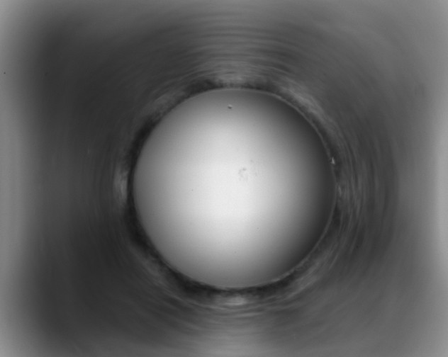 X0000089390454200706150934
