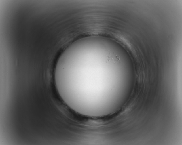 X0000089390455200706150934