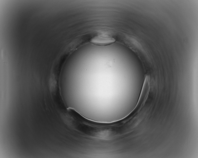 X0000089390456200706150935