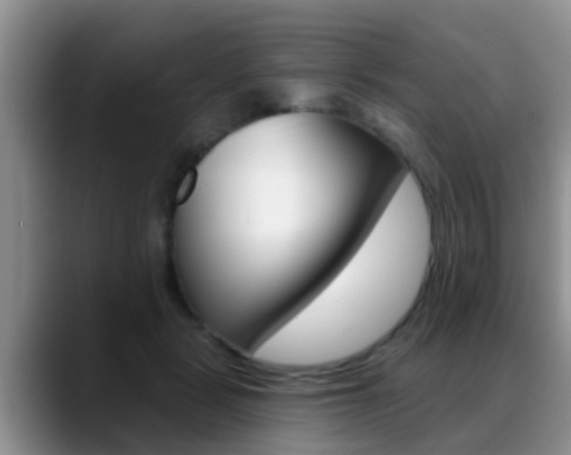 X0000089390461200706150935