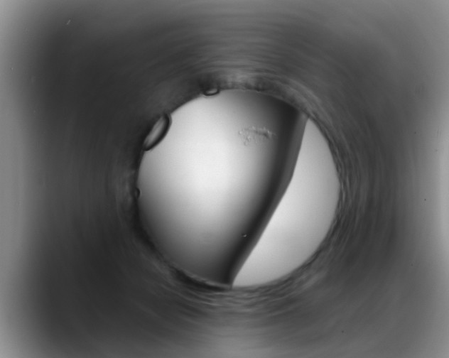 X0000089390462200706150935