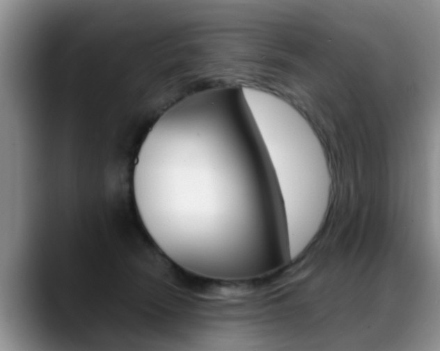 X0000089390466200706150935