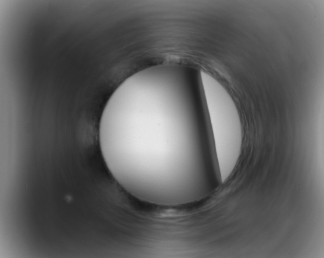 X0000089390467200706150935