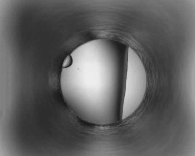 X0000089390469200706150935