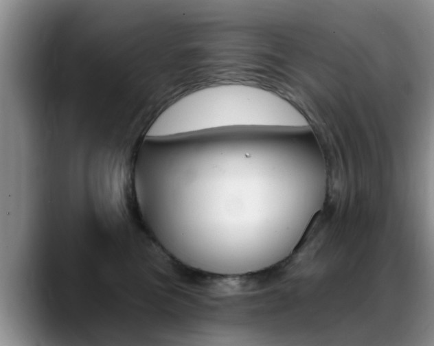 X0000089390473200706150935