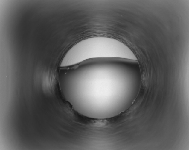 X0000089390474200706150935