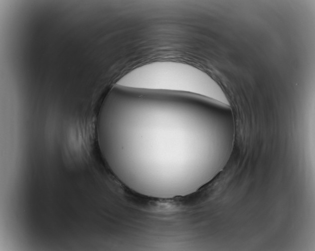 X0000089390475200706150935