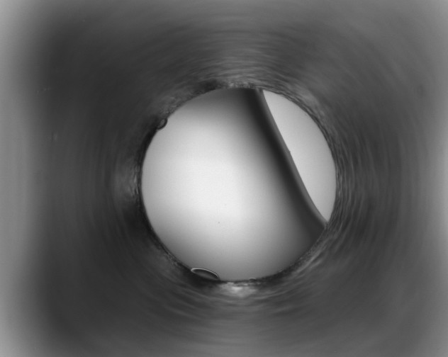 X0000089390477200706150935