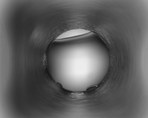 X0000089390480200706150935