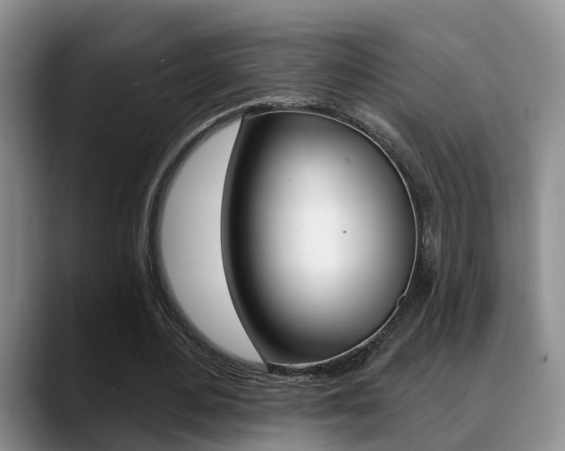 X0000089390484200706150934