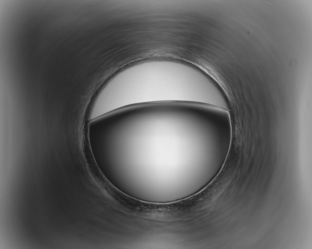 X0000089390485200706150934