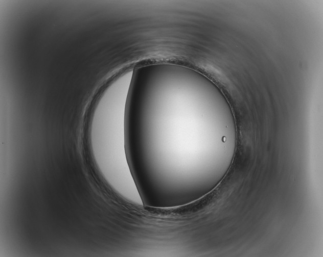 X0000089390488200706150934