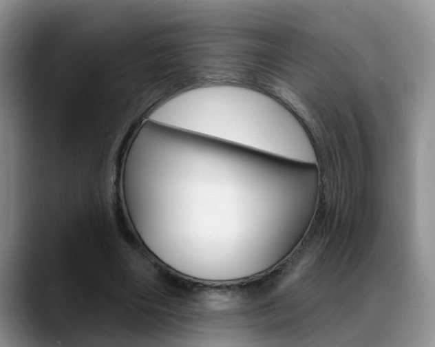 X0000089390490200706150934