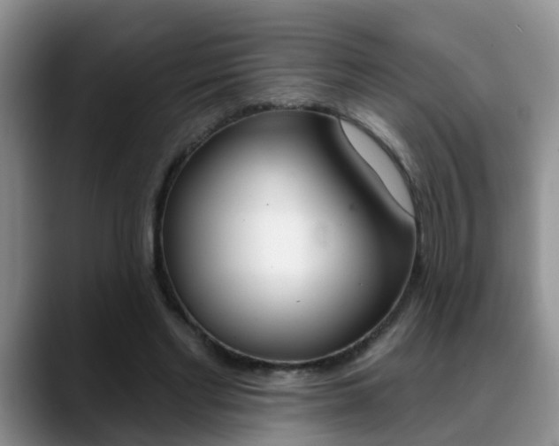 X0000089390493200706150934