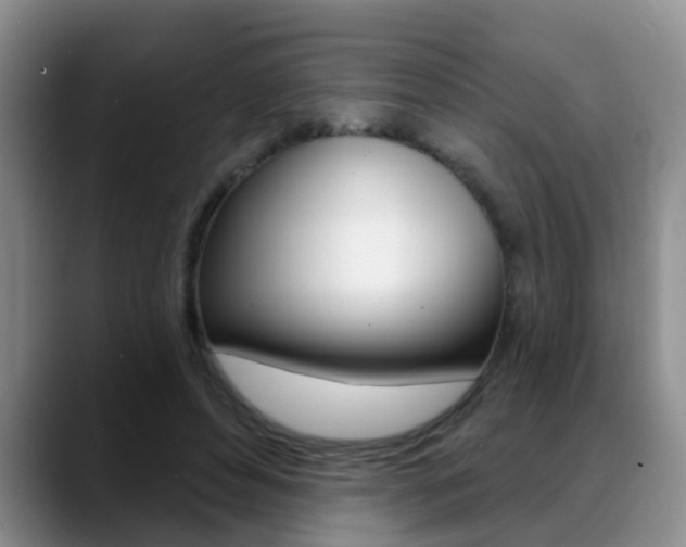 X0000089390496200706150934
