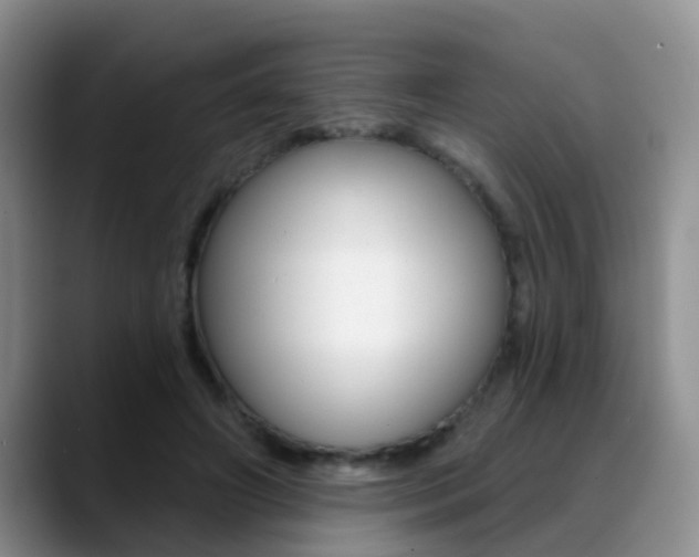 X0000089390498200706150934