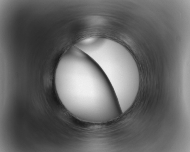 X0000089390499200706150934
